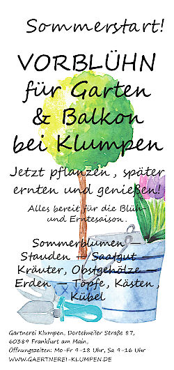 Blühende Vorfreude auf den Sommer bei Klumpen!