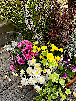 Herbstgrabdeko © Gärtnerei Klumpen