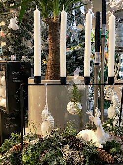 Advent und Weihnachten leuchten in allen Farben bunt und fr&ouml;hlich! Was f&uuml;r eine zauberhafte Zeit! &copy; G&auml;rtnerei Klumpen