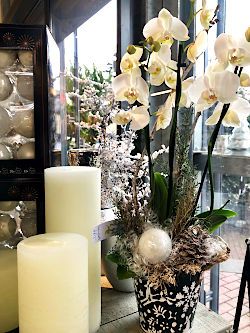 Advent und Weihnachten leuchten in allen Farben bunt und fr&ouml;hlich! Was f&uuml;r eine zauberhafte Zeit! &copy; G&auml;rtnerei Klumpen