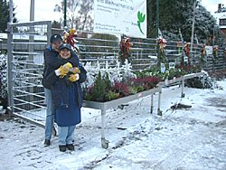 Winter 2008 / 2009