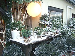 Winter 2008 / 2009