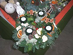 Winter 2008 / 2009