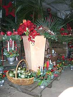 Winter 2008 / 2009