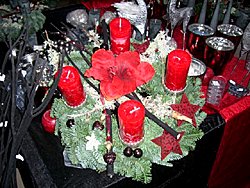 Winter 2008 / 2009