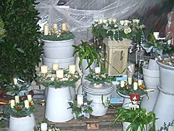 Winter 2008 / 2009