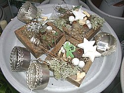Winter 2008 / 2009