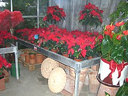 Winter 2008 / 2009