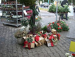 Winter 2008 / 2009