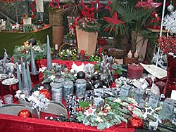 Winter 2008 / 2009